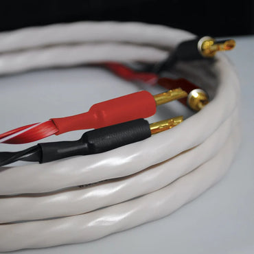 WIREWORLD - Solstice® 10 Speaker Cable