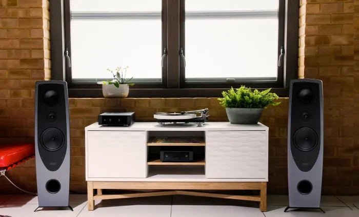 Rega NAIA Reference Turntable The Ultimate Rega Turntable