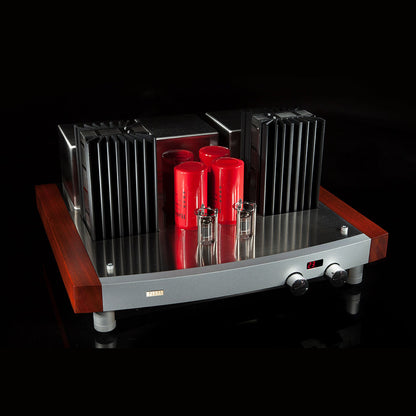 Pathos - TT Remote Reference - Integrated Amplifier