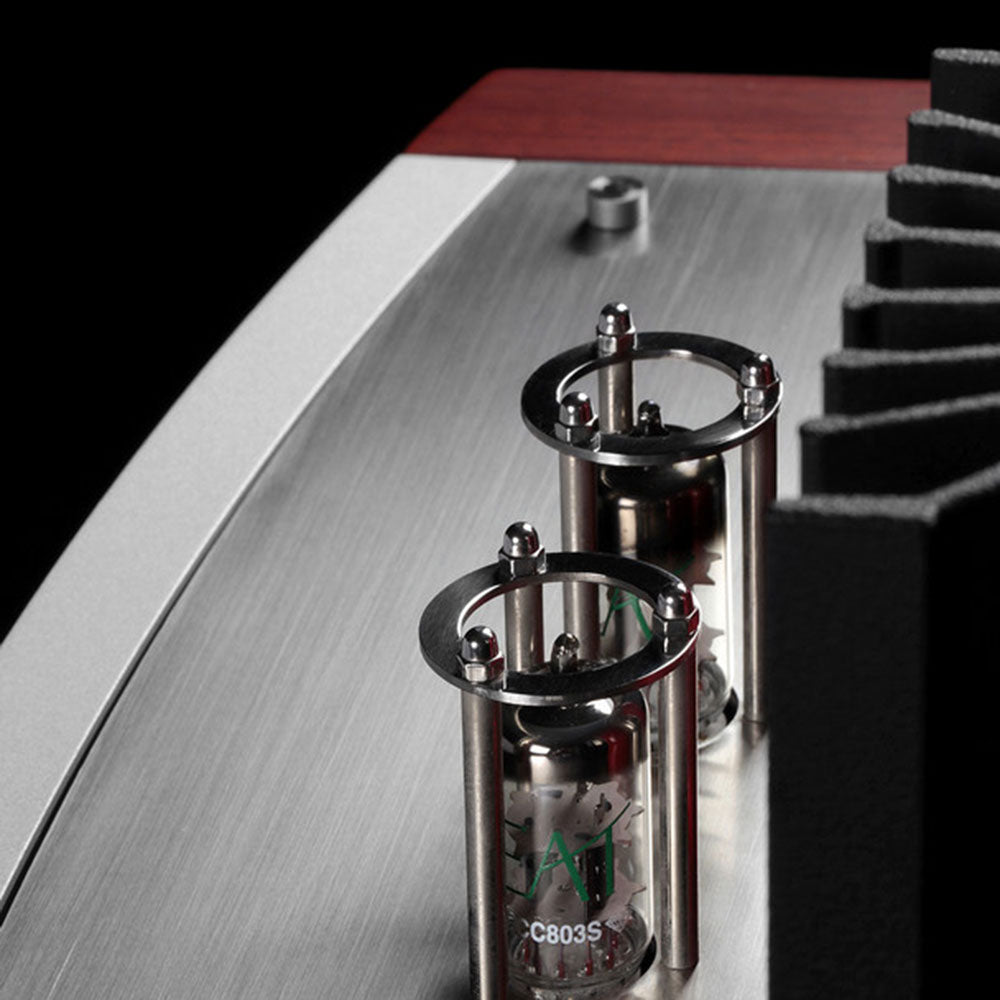 Pathos - TT Anniversary - Integrated Amplifier