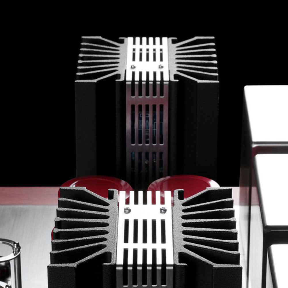 Pathos - TT Anniversary - Integrated Amplifier