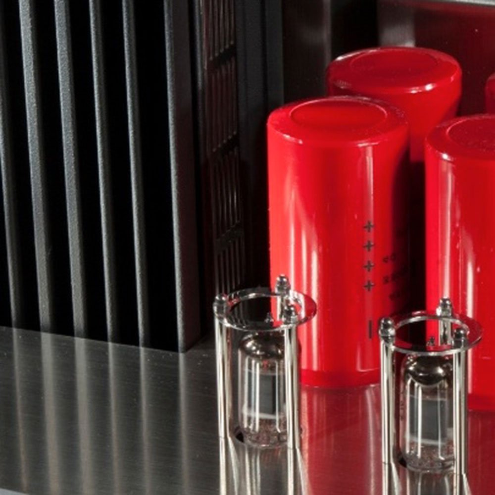 Pathos TT Remote Reference Integrated Amplifier